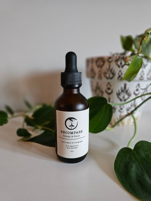 Lions Mane & Cordyceps Extract