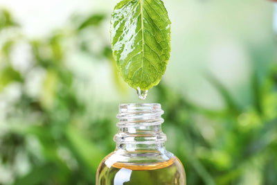 🌿 Organic Peppermint Oil