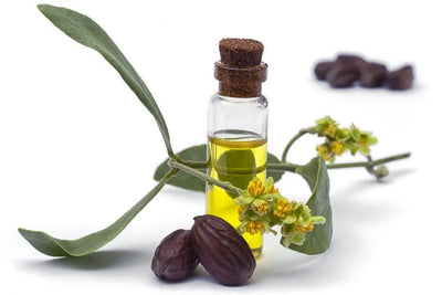 🌰 Organic Jojoba Oil