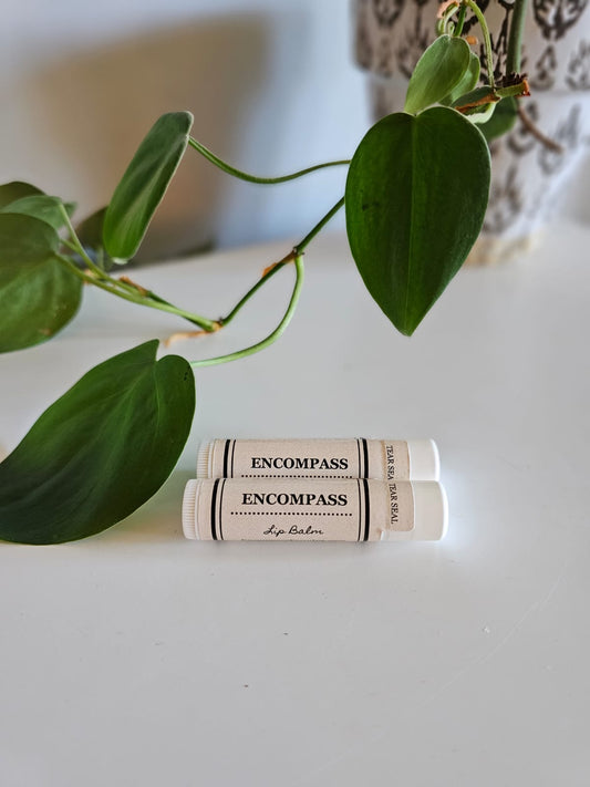 What You Need to Know About Lip Balm?