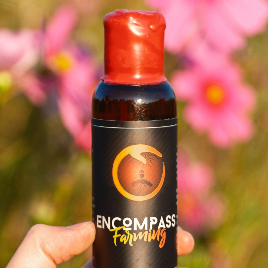 Encompass Oil single pack